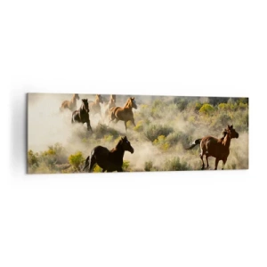 Bild auf Leinwand - Leinwandbild - Eine Herde wilder Pferde galoppiert durch Staub und Vegetation - 160x50cm - Rivalität – Freiheit oder männliche Stärke? - Moderne Wanddekoration für Wohnzimmer und Schlafzimmer ARTTOR