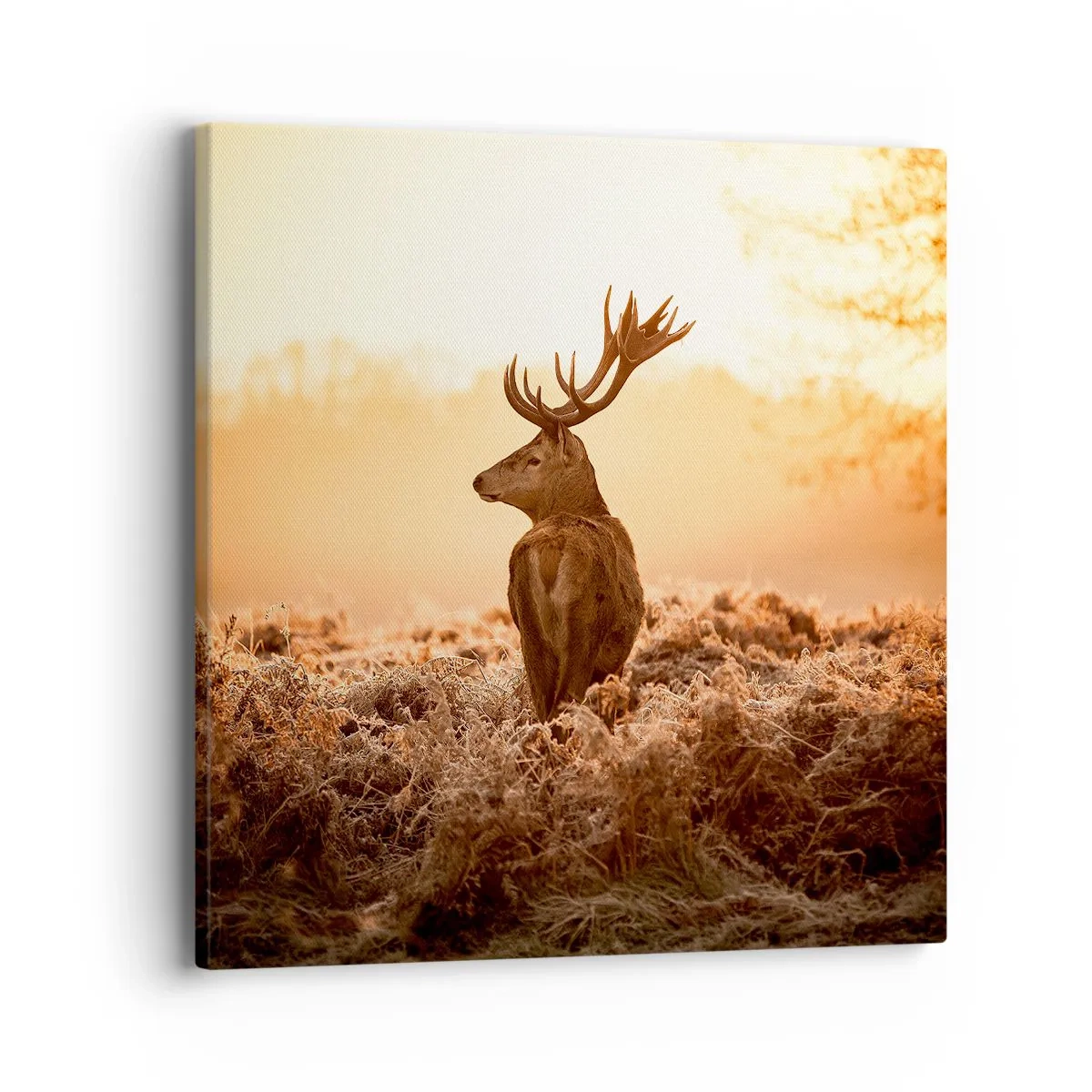 Bild auf Leinwand - Leinwandbild - Herr im eigenen Land - 40x40 cm