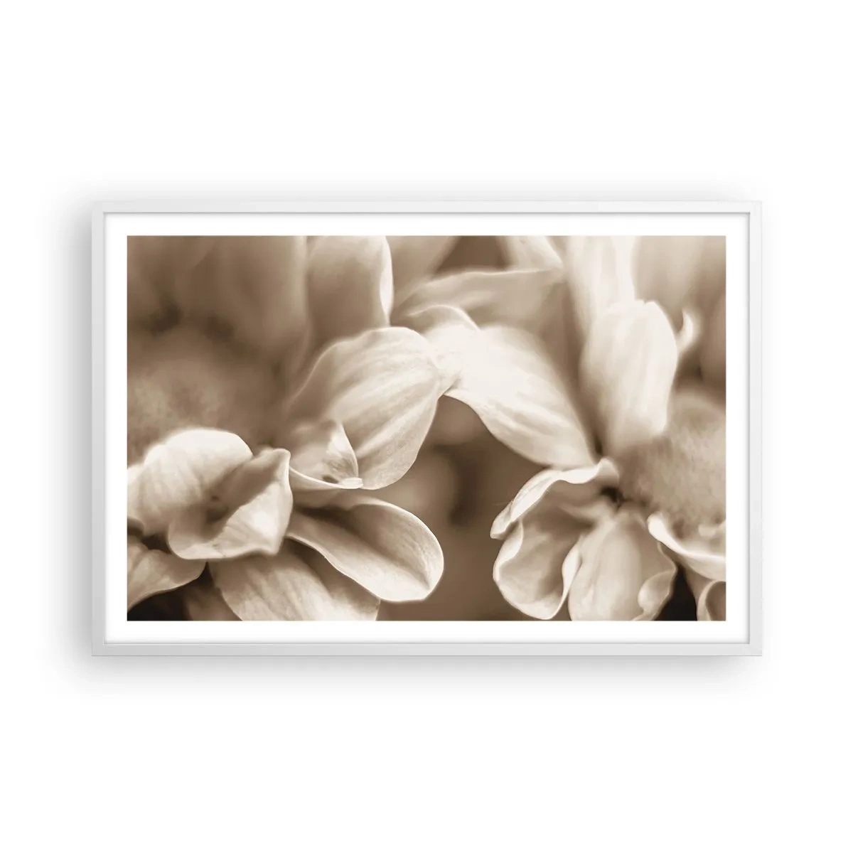 Poster in einem weißen Rahmen - So sanft wie ein Lächeln - 91x61 cm