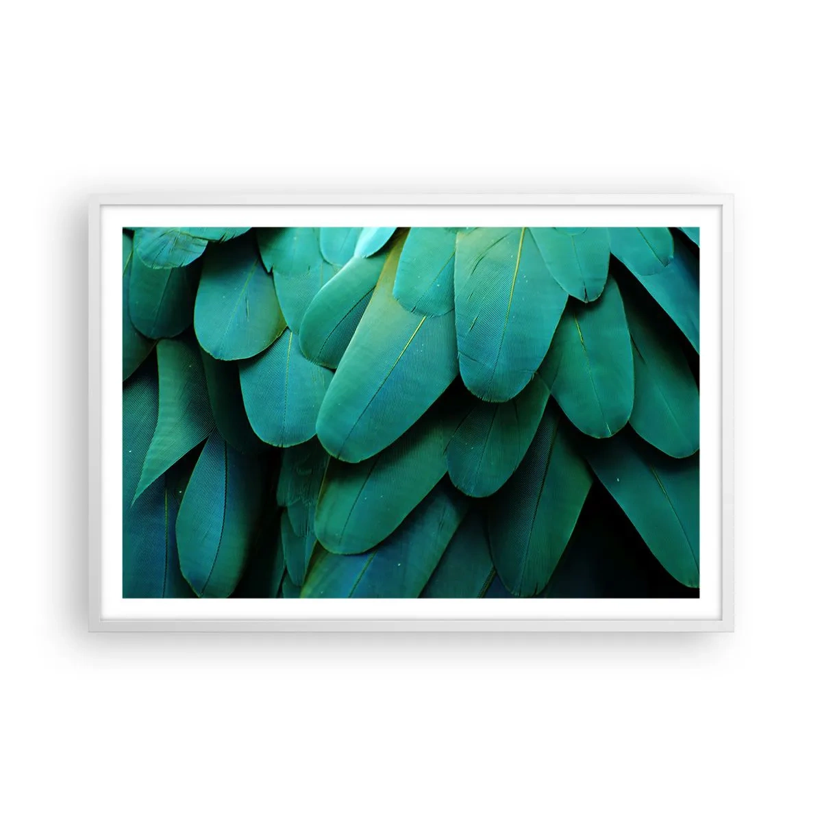 Poster in einem weißen Rahmen - Papageienartige Präzision - 91x61 cm