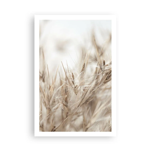 Poster - Wiese und Wind - 61x91 cm