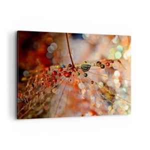 Bild auf Leinwand - Leinwandbild - Makrofotografie eines Wassertropfens auf einer zarten Pflanze - 100x70cm - Auf einem Spinnenfaden aufgefädelt - Moderne Wanddekoration für Wohnzimmer und Schlafzimmer ARTTOR