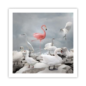 Poster - Wie kam ich hier hin? - 60x60 cm