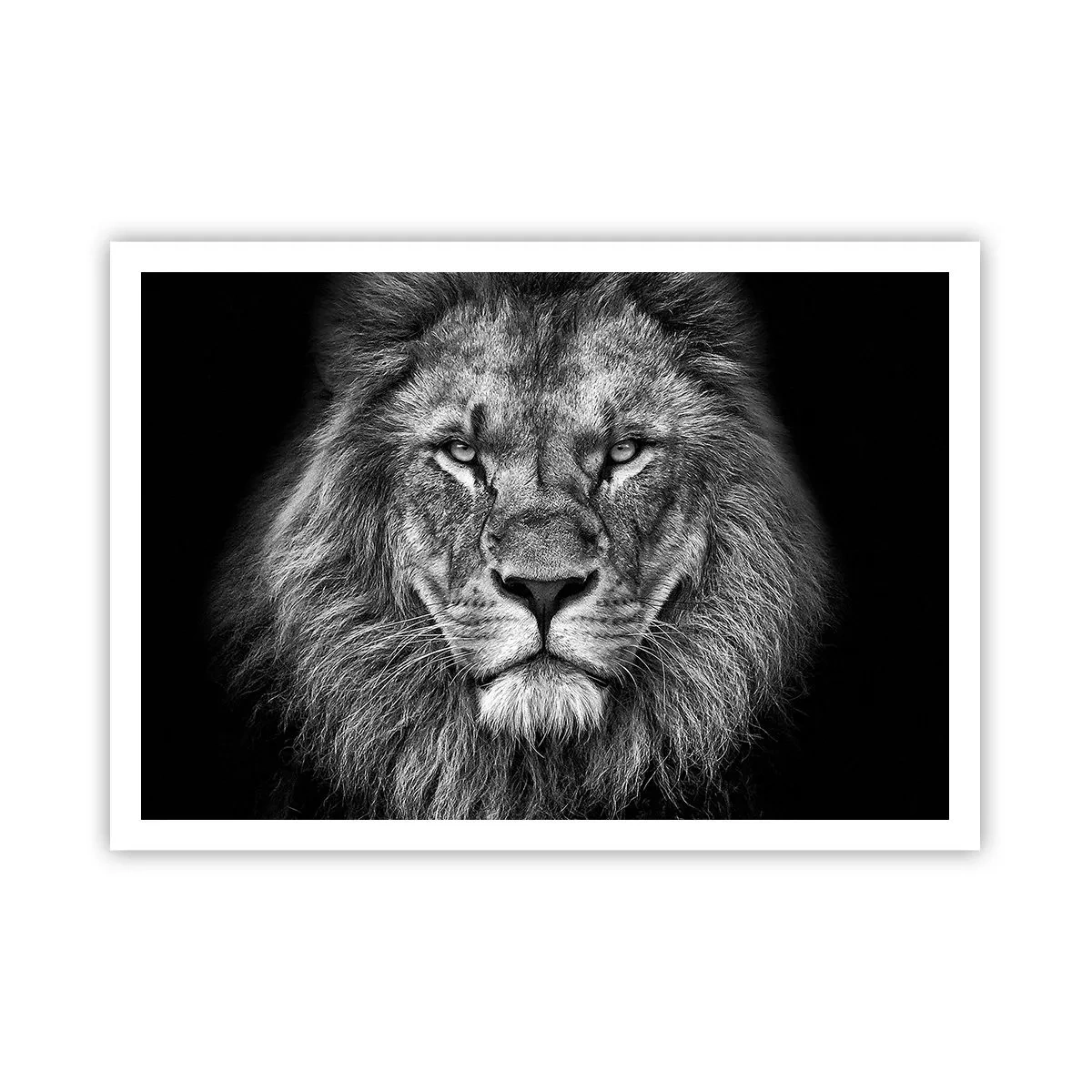 Poster - Porträt eines majestätischen Löwen in Schwarz und Weiß - 100x70cm - Im Krönungsgewand - Moderne Wanddekoration für Wohnzimmer und Schlafzimmer ARTTOR