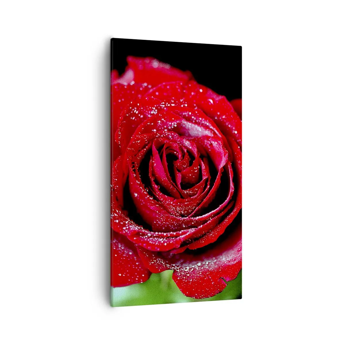 Bild auf Leinwand - Leinwandbild - Das ist Liebe - 55x100 cm