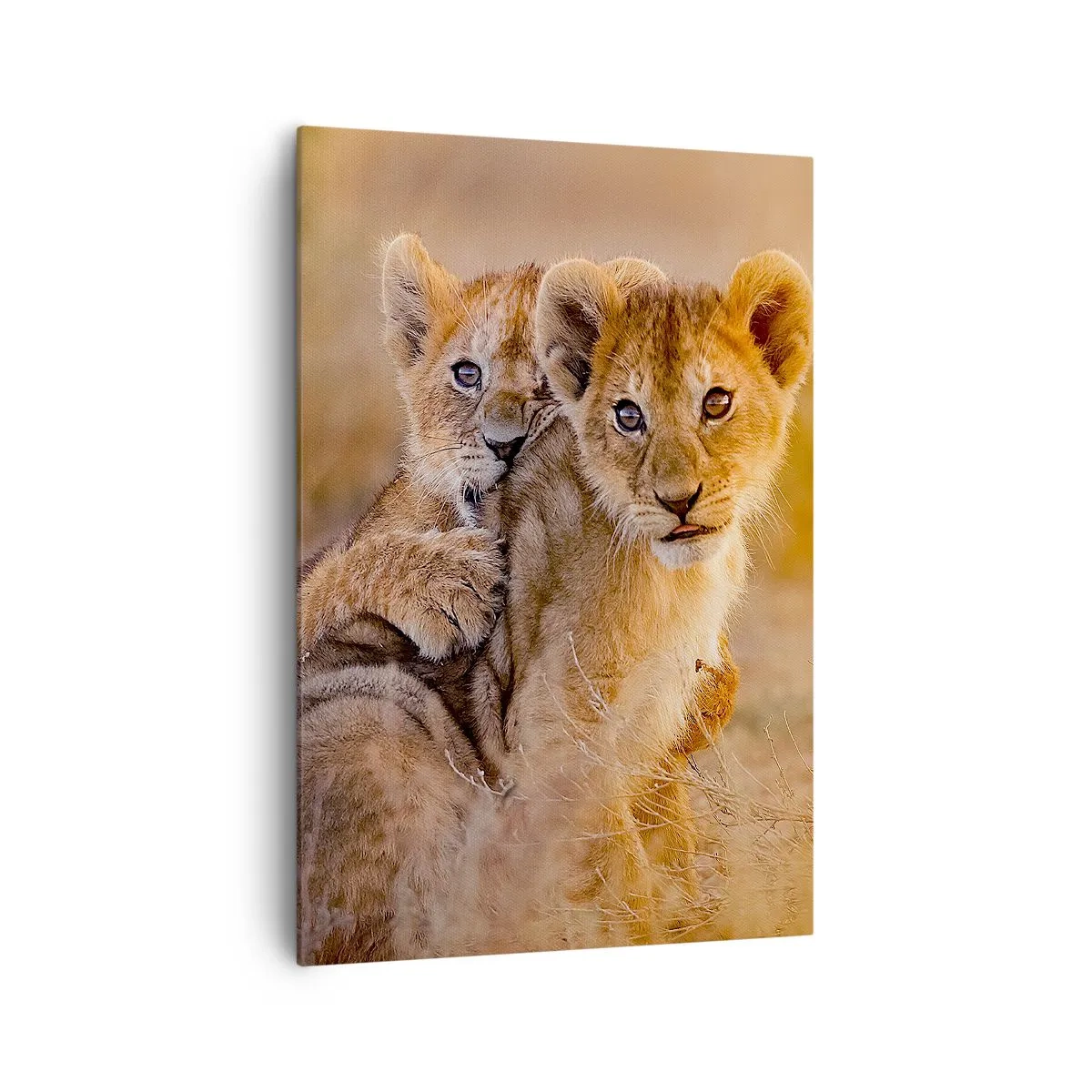 Bild auf Leinwand - Leinwandbild - Entzückende Löwenjungen in ihrer natürlichen Umgebung - 70x100cm - Bitte nicht stören! Wir haben Spaß - Moderne Wanddekoration für Wohnzimmer und Schlafzimmer ARTTOR