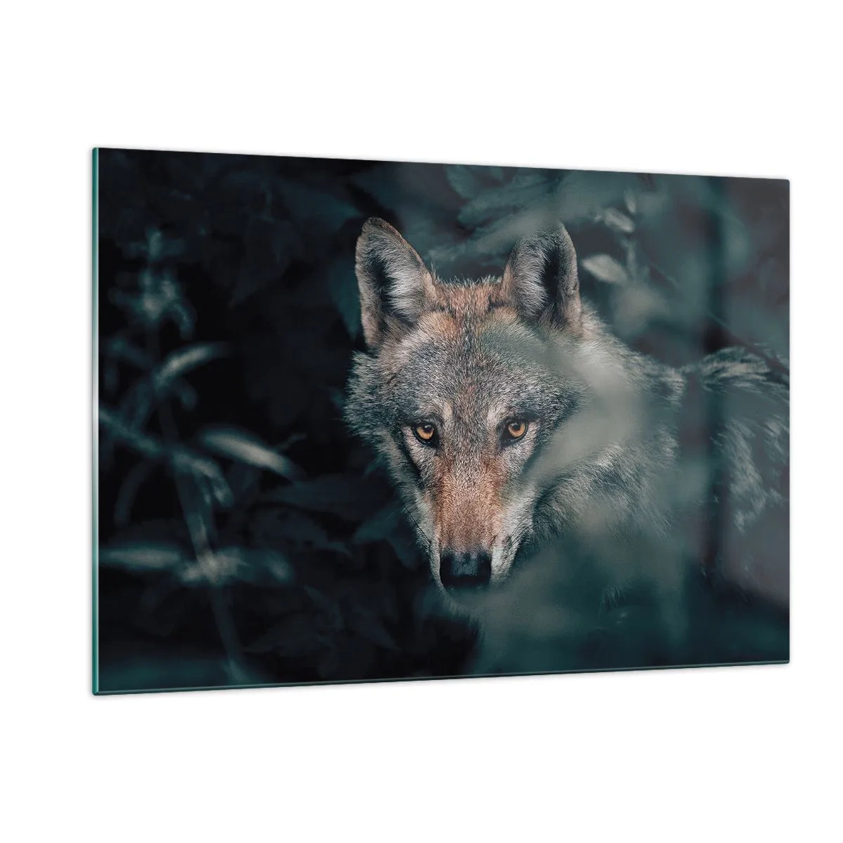 Glasbild - Bild auf glas - Ein Wolf beobachtet wachsam aus seinem Versteck im Walddickicht - 120x80cm - Jäger - Moderne Wanddekoration für Wohnzimmer und Schlafzimmer ARTTOR