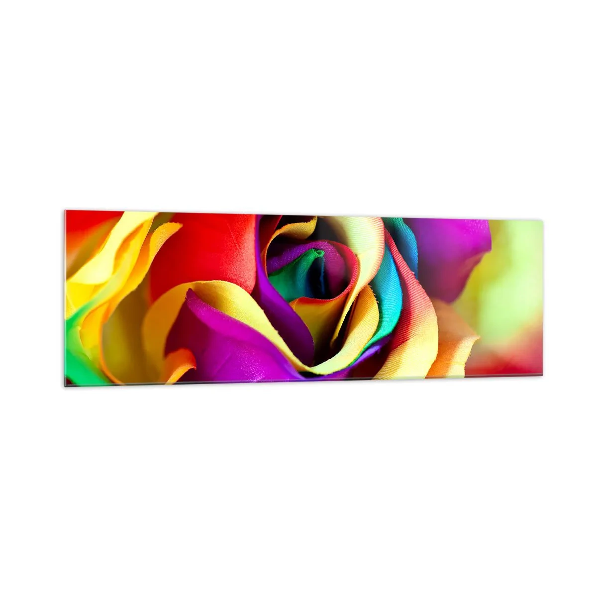 Glasbild - Bild auf glas - Eine bunte Rose in Regenbogenfarben - 160x50cm - Es ist unmöglich - Moderne Wanddekoration für Wohnzimmer und Schlafzimmer ARTTOR