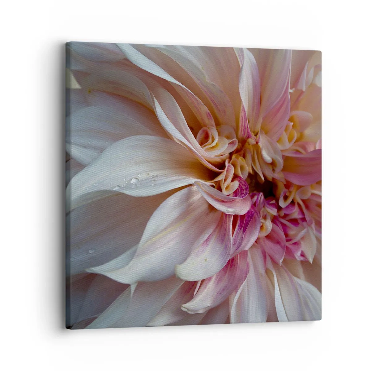 Bild auf Leinwand - Leinwandbild - Blühende Frische - 30x30 cm