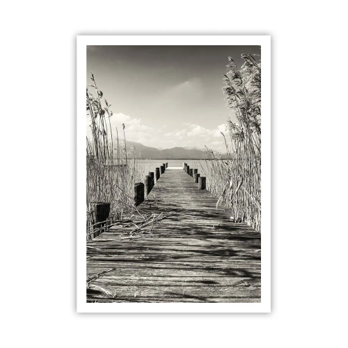 Poster - In der Stille des Grases - 70x100 cm