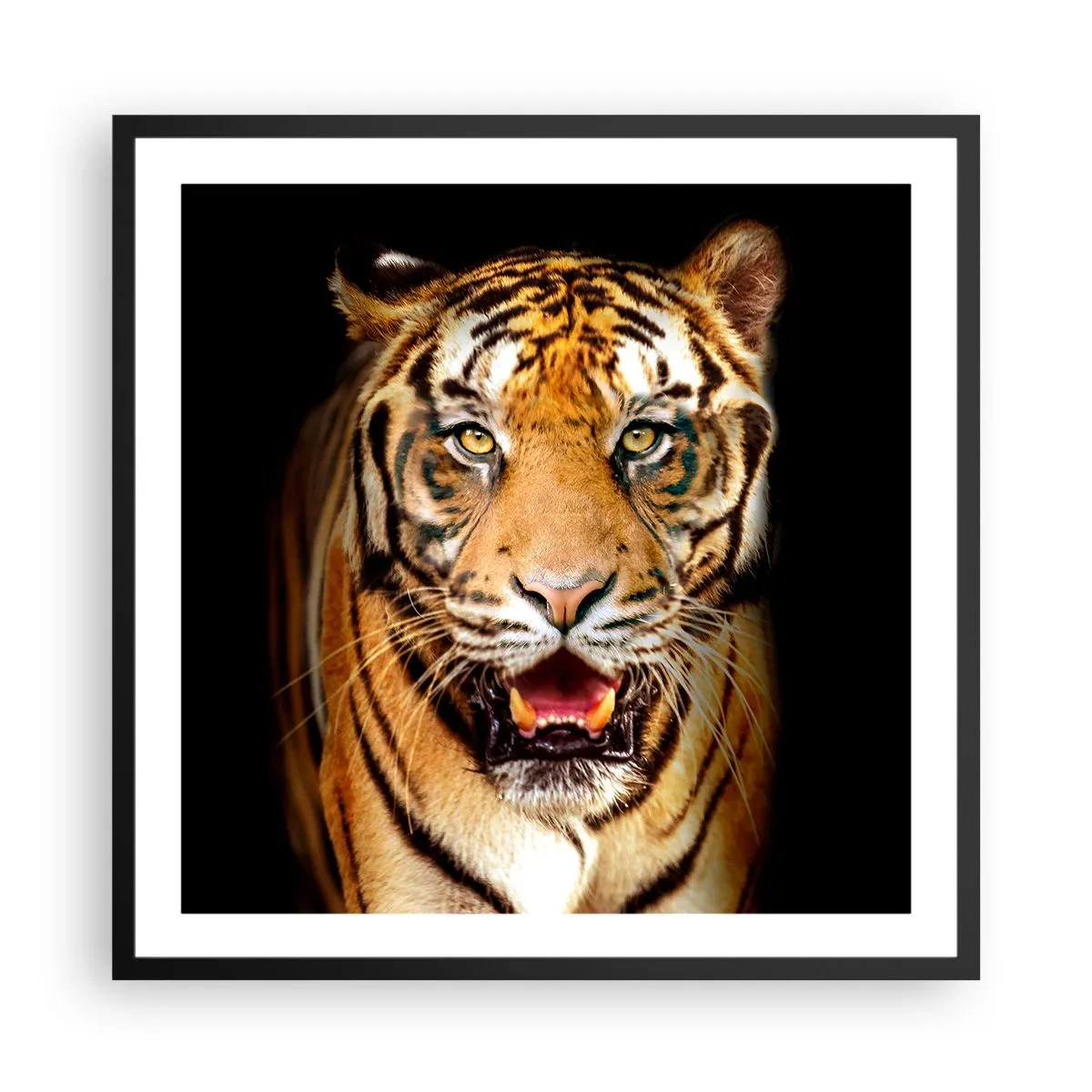 Poster in einem schwarzem Rahmen - Wild im Herzen - 60x60 cm