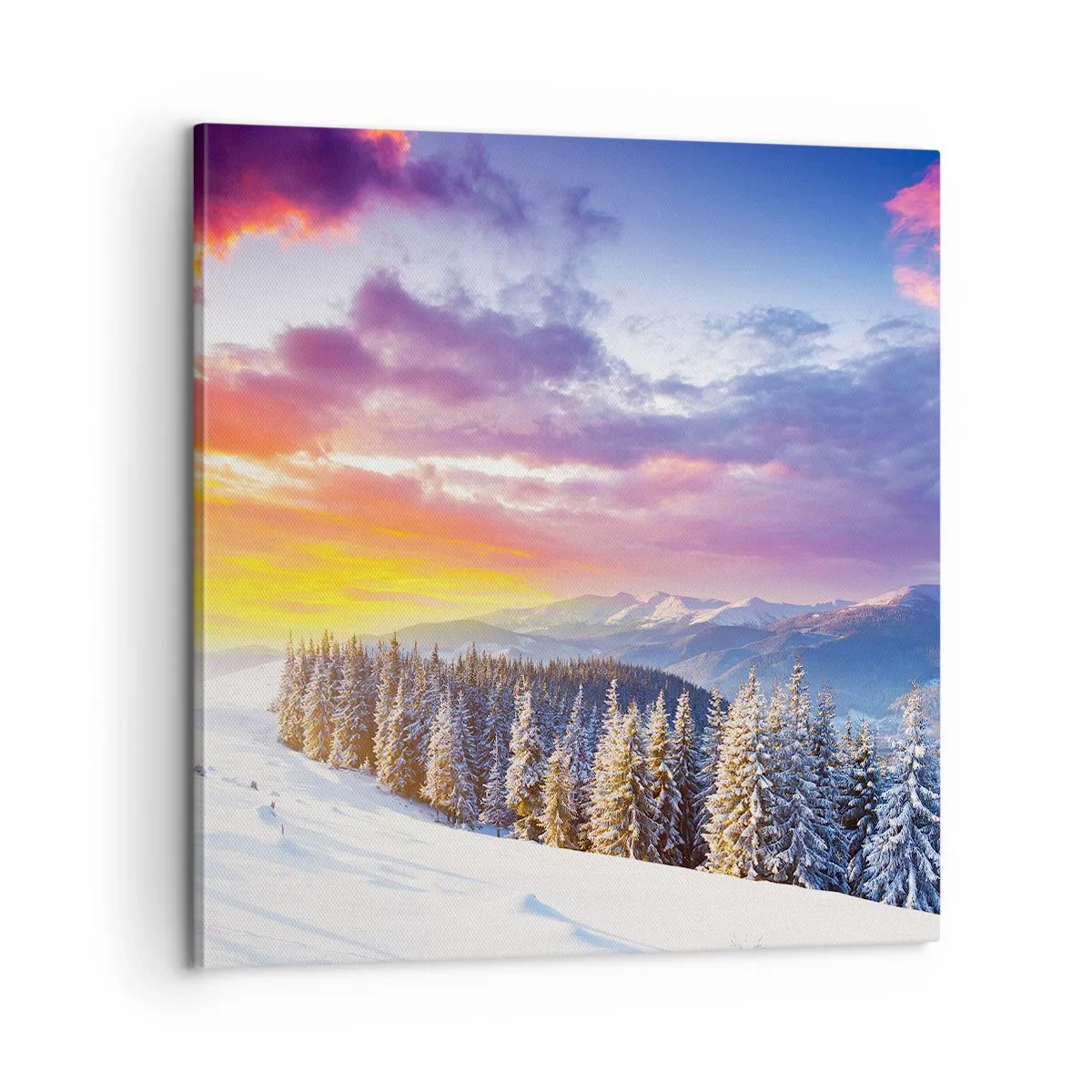 Bild auf Leinwand - Leinwandbild - Am helllichten Tag - 60x60 cm