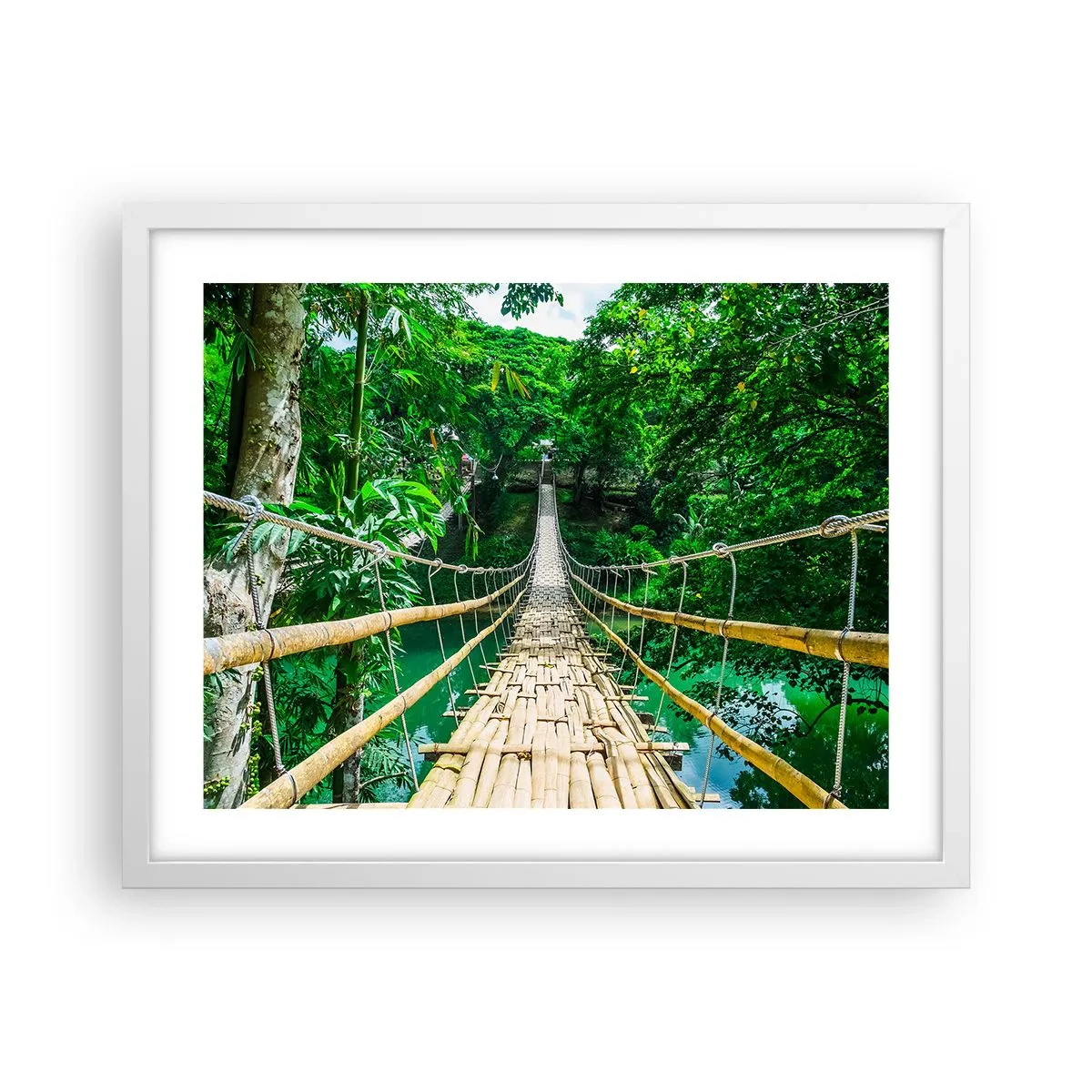 Poster in einem weißen Rahmen - Monkey Bridge über das Grün - 50x40 cm