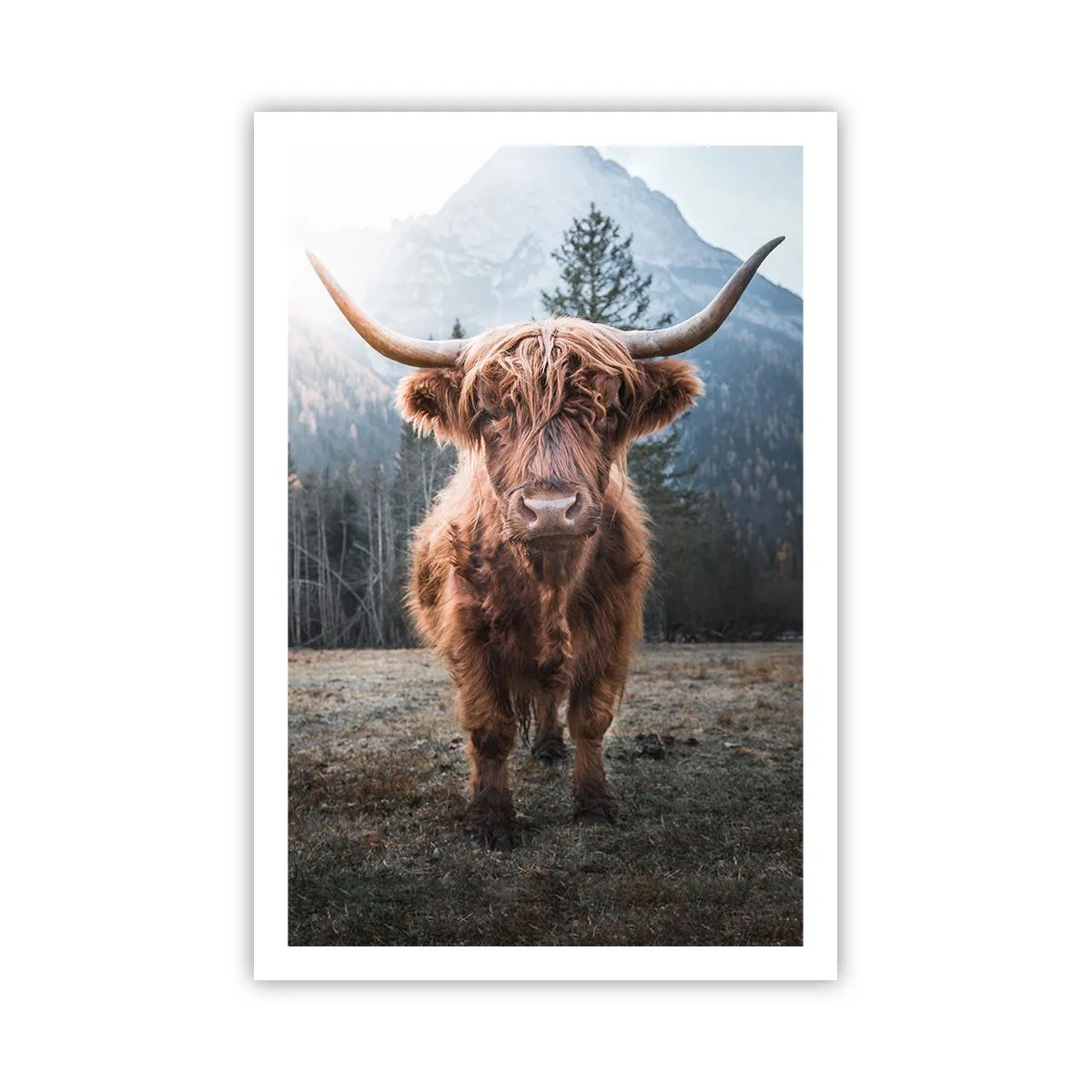 Poster - Grüße von der Bergwiese - 61x91 cm