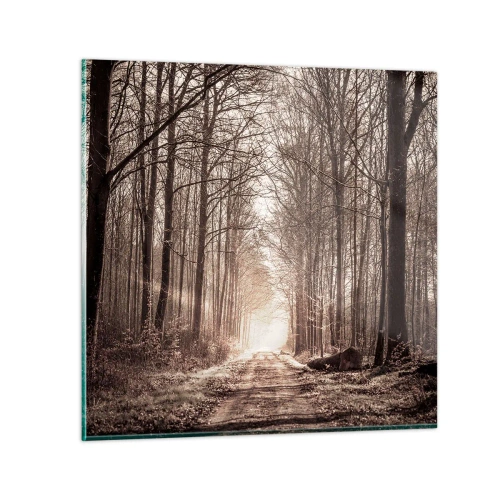 Glasbild - Bild auf glas - Waldkathedrale - 60x60 cm