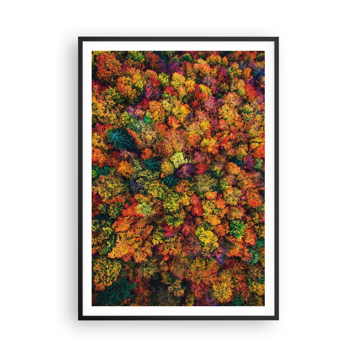 Poster in einem schwarzem Rahmen - Blumenstrauß aus Herbstbäumen - 70x100 cm