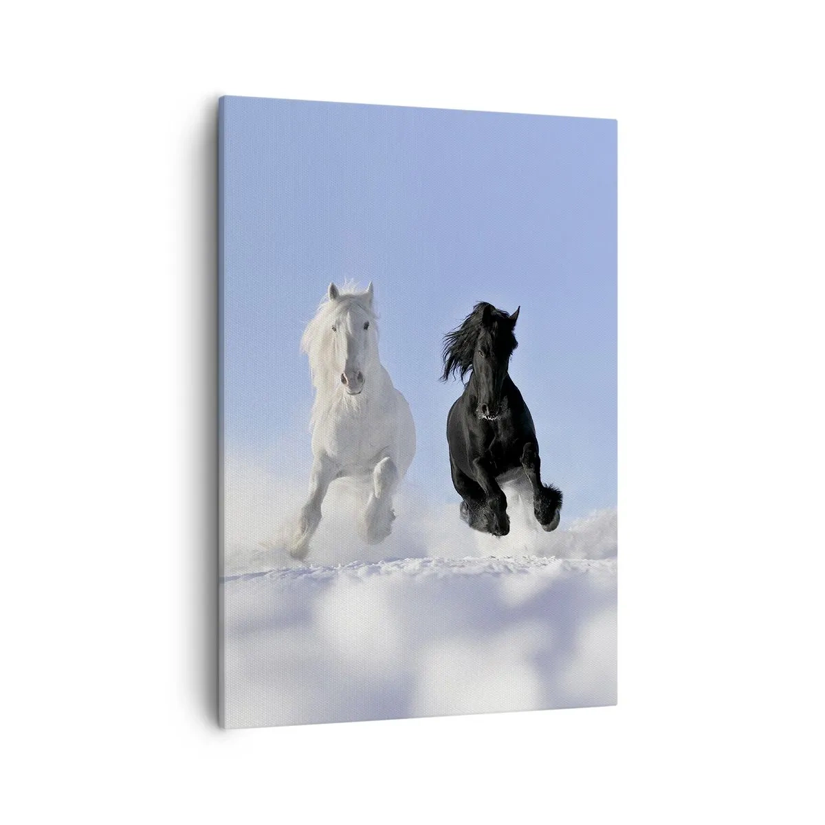 Bild auf Leinwand - Leinwandbild - Ein weißes und ein schwarzes Pferd galoppieren durch den Schnee - 50x70cm - Schwarz-Weiß-Galopp - Moderne Wanddekoration für Wohnzimmer und Schlafzimmer ARTTOR