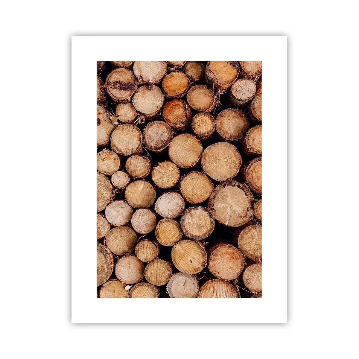 Poster - Ein neuer Anfang - 30x40 cm