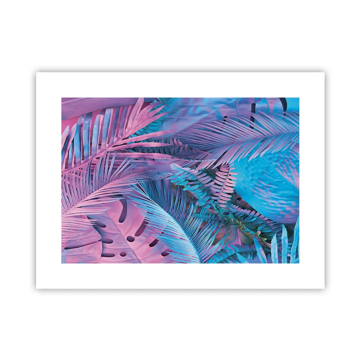 Poster - Tropen in Rosa und Blau - 40x30 cm