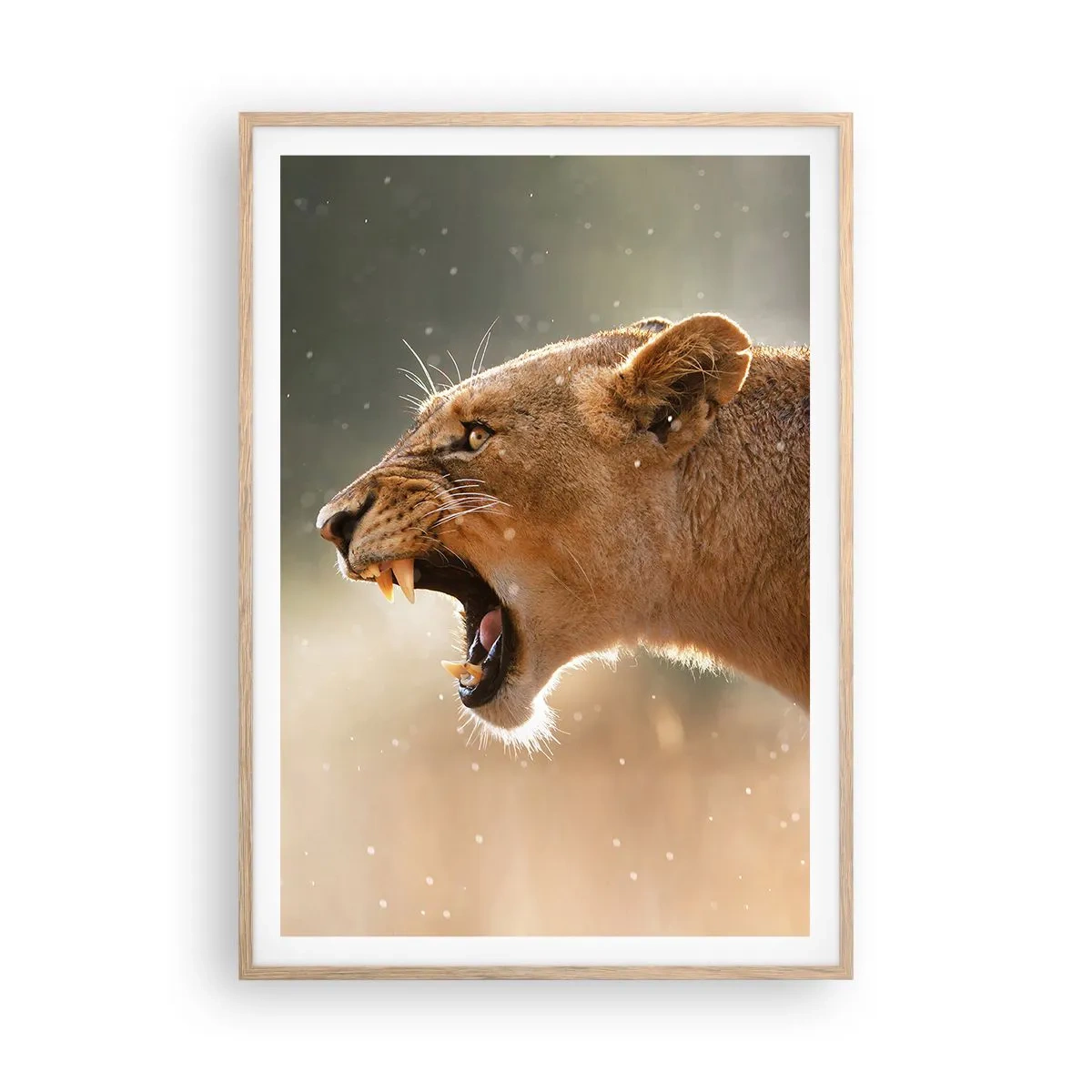 Poster in einem Rahmen aus heller Eiche - Versuch, nicht zuzuhören - 70x100 cm