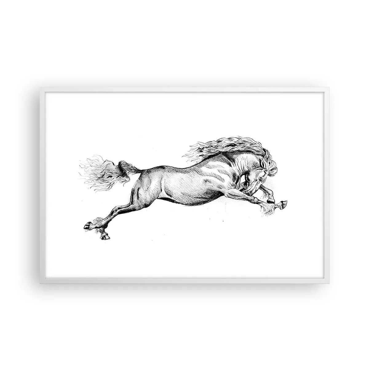 Poster in einem weißen Rahmen - Im Galopp festgehalten - 91x61 cm
