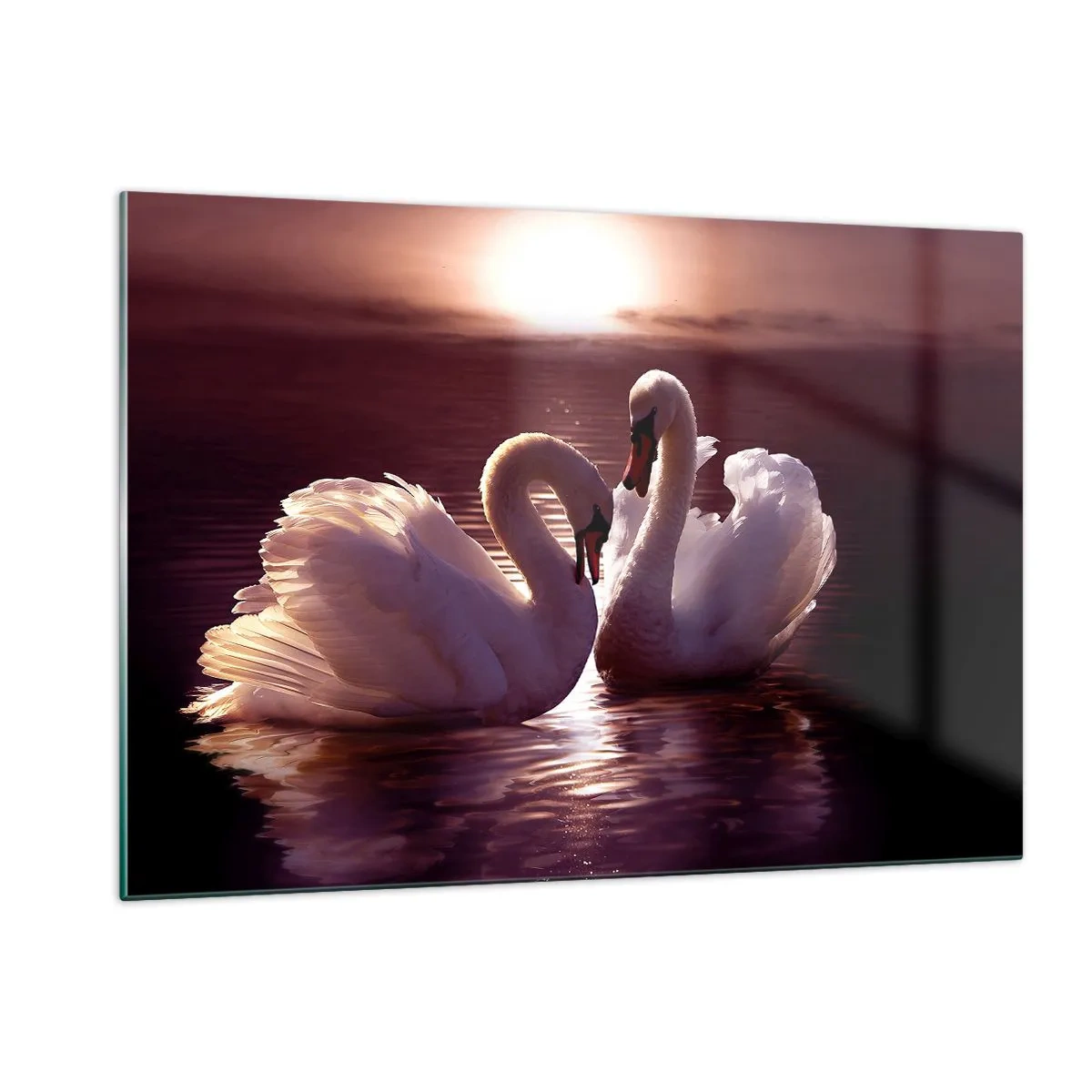 Glasbild - Bild auf glas - Zwei Schwäne auf dem Wasser im Licht der untergehenden Sonne - 120x80cm - Bis der Tod uns scheidet - Moderne Wanddekoration für Wohnzimmer und Schlafzimmer ARTTOR