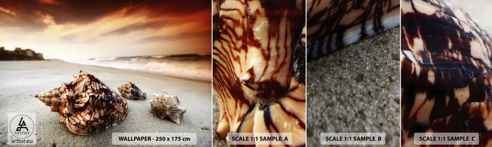 Fototapetenmuster Standard Eco - Ausgestoßene von Wellen - Landschaft, Meer, Muschel - 100x30 cm
