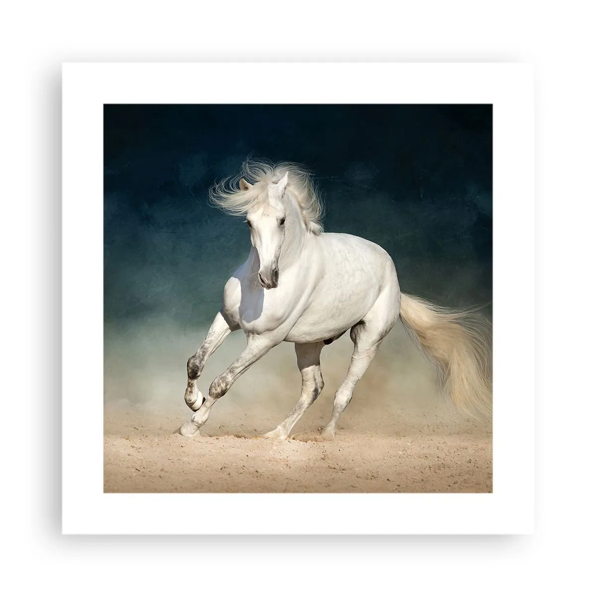 Poster - Freiheit in ihrem reinen Zustand - 40x40 cm