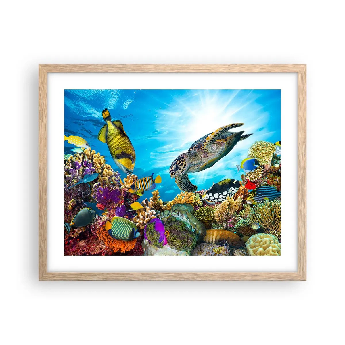 Poster in einem Rahmen aus heller Eiche - Korallenpromenade - 50x40 cm
