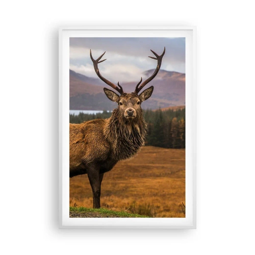 Poster in einem weißen Rahmen - Die Majestät der Natur - 61x91 cm