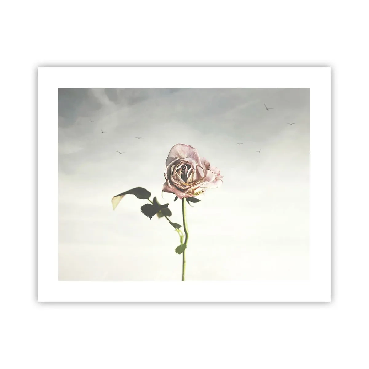 Poster - Begrüßung des Frühlings - 50x40 cm