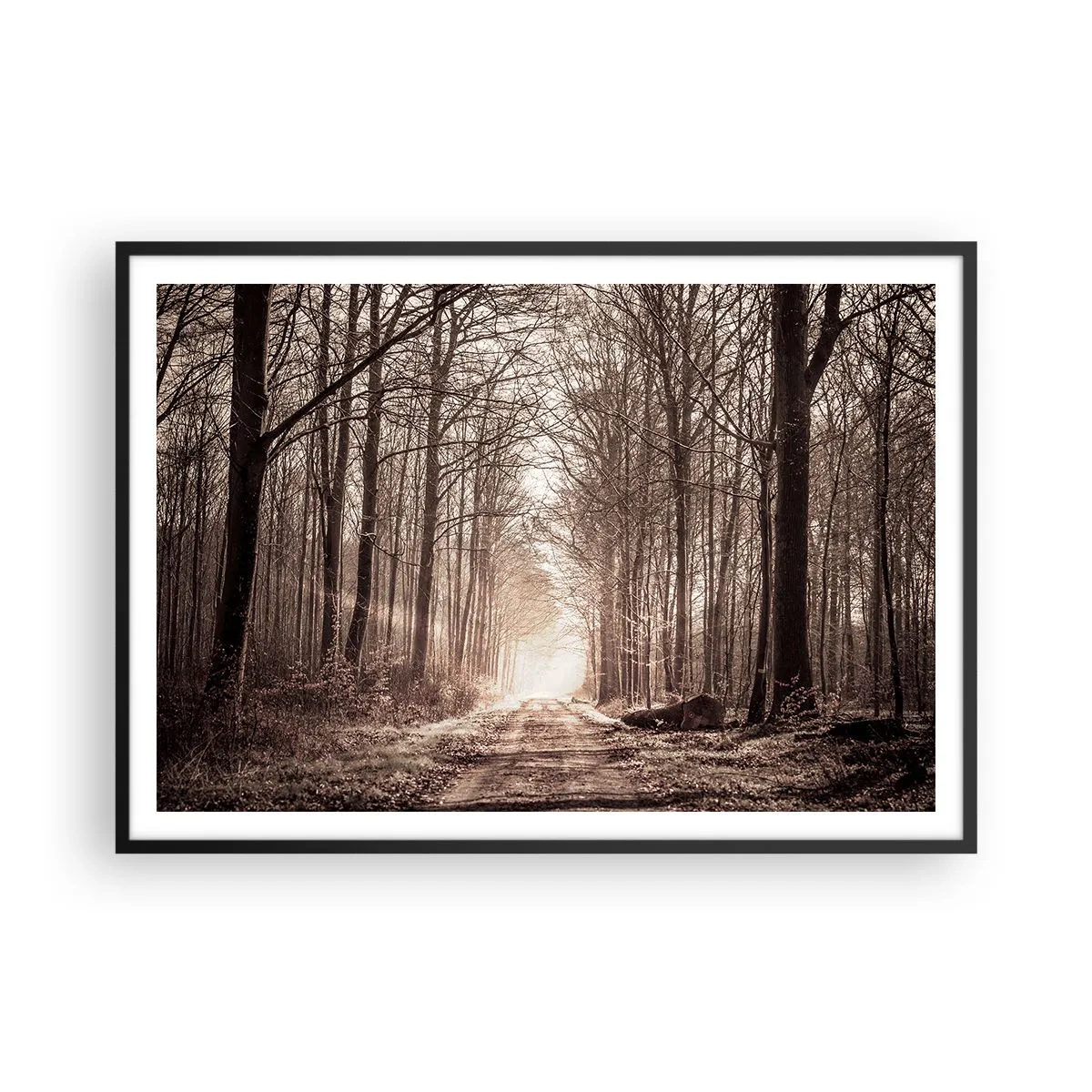 Poster in einem schwarzem Rahmen - Ein Waldweg zwischen sepiafarbenen Bäumen - 100x70cm - Waldkathedrale - Moderne Wanddekoration für Wohnzimmer und Schlafzimmer ARTTOR