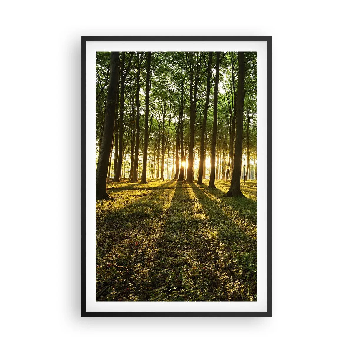 Poster in einem schwarzem Rahmen - Alle Frühlingsfotografie - 61x91 cm
