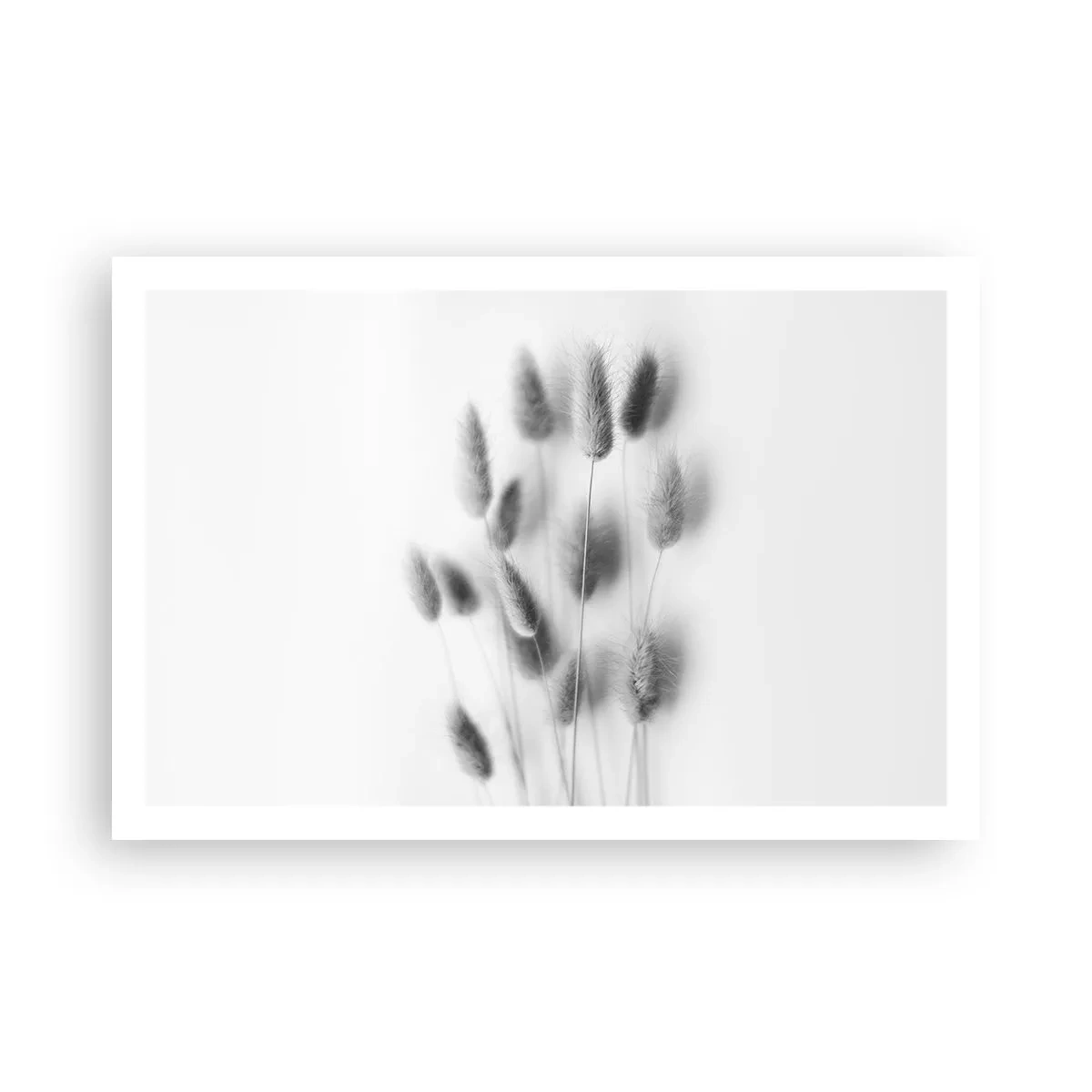 Poster - Eure flauschige Grashoheit - 91x61 cm