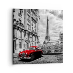 Bild auf Leinwand - Leinwandbild - Raubtier in der Stadt - 70x70 cm