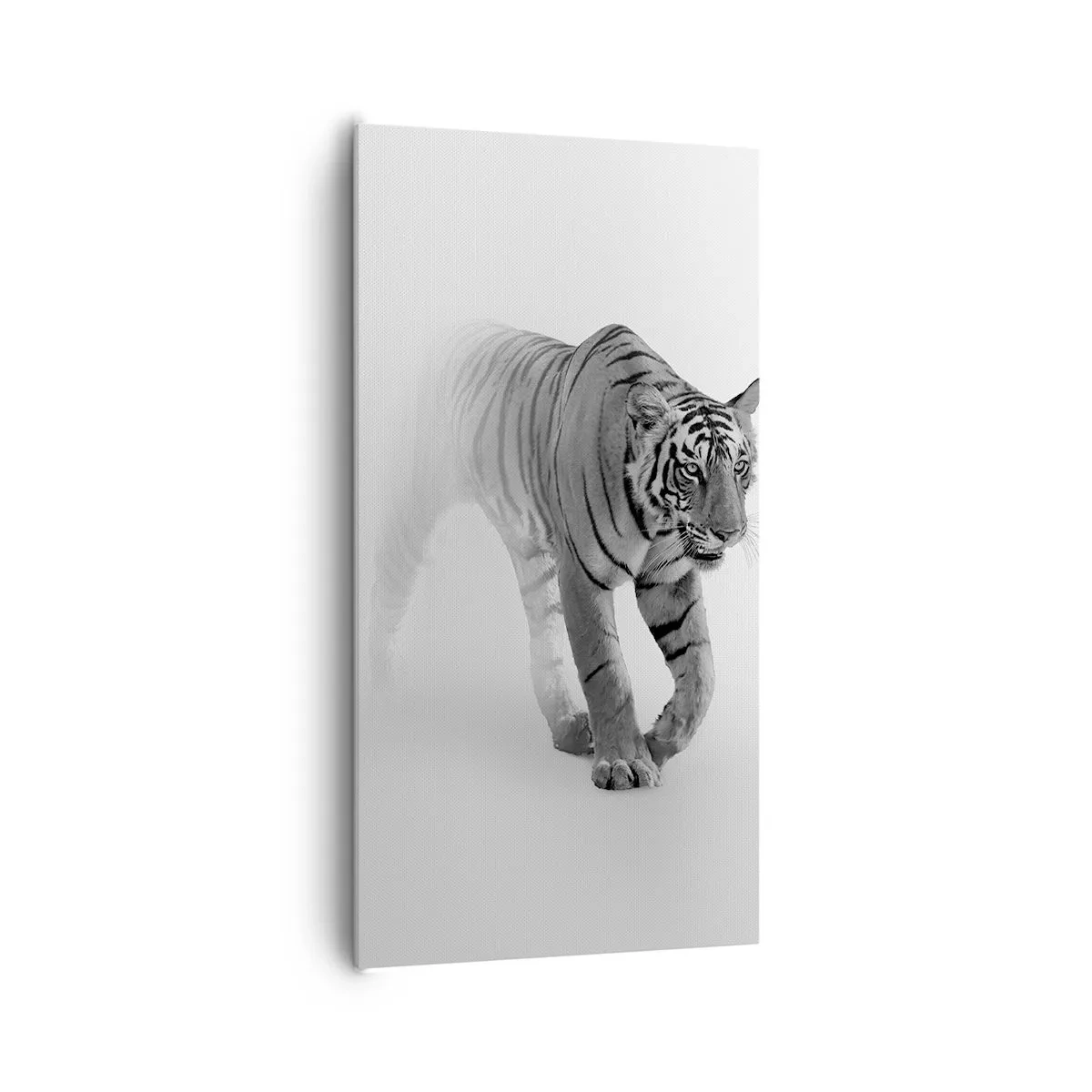 Bild auf Leinwand - Leinwandbild - Im Nebel gelauert - 65x120 cm