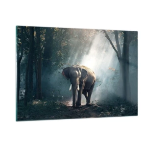 Glasbild - Bild auf glas - Ein Elefant läuft durch den Wald, während das Sonnenlicht durch die Bäume fällt. - 120x80cm - Ein gemütlicher Spaziergang - Moderne Wanddekoration für Wohnzimmer und Schlafzimmer ARTTOR
