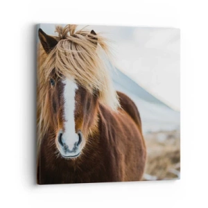 Bild auf Leinwand - Leinwandbild - Spürst du die Freiheit? - 30x30 cm