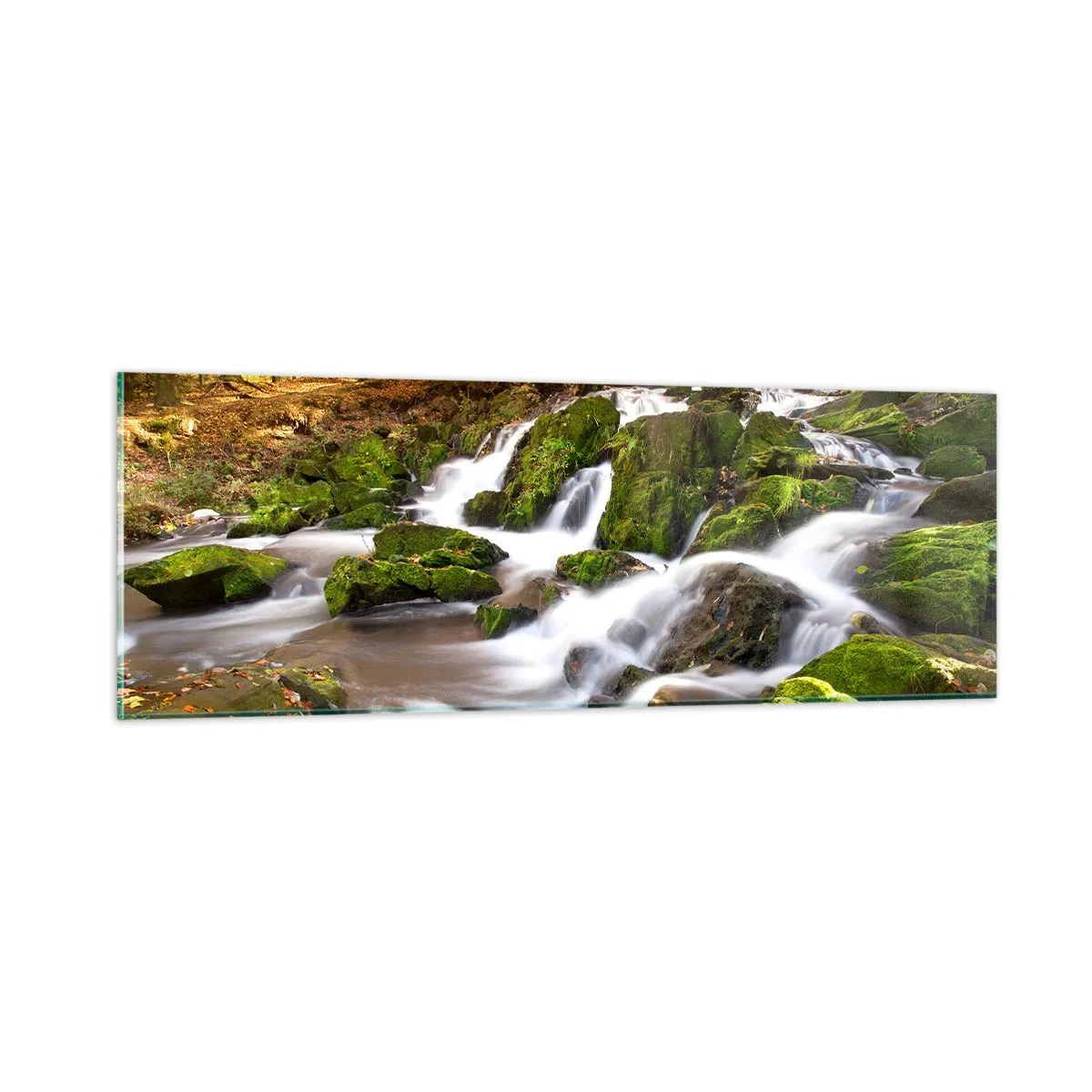 Glasbild - Bild auf glas - Rasch durch den herbstlichen Wald - 90x30 cm