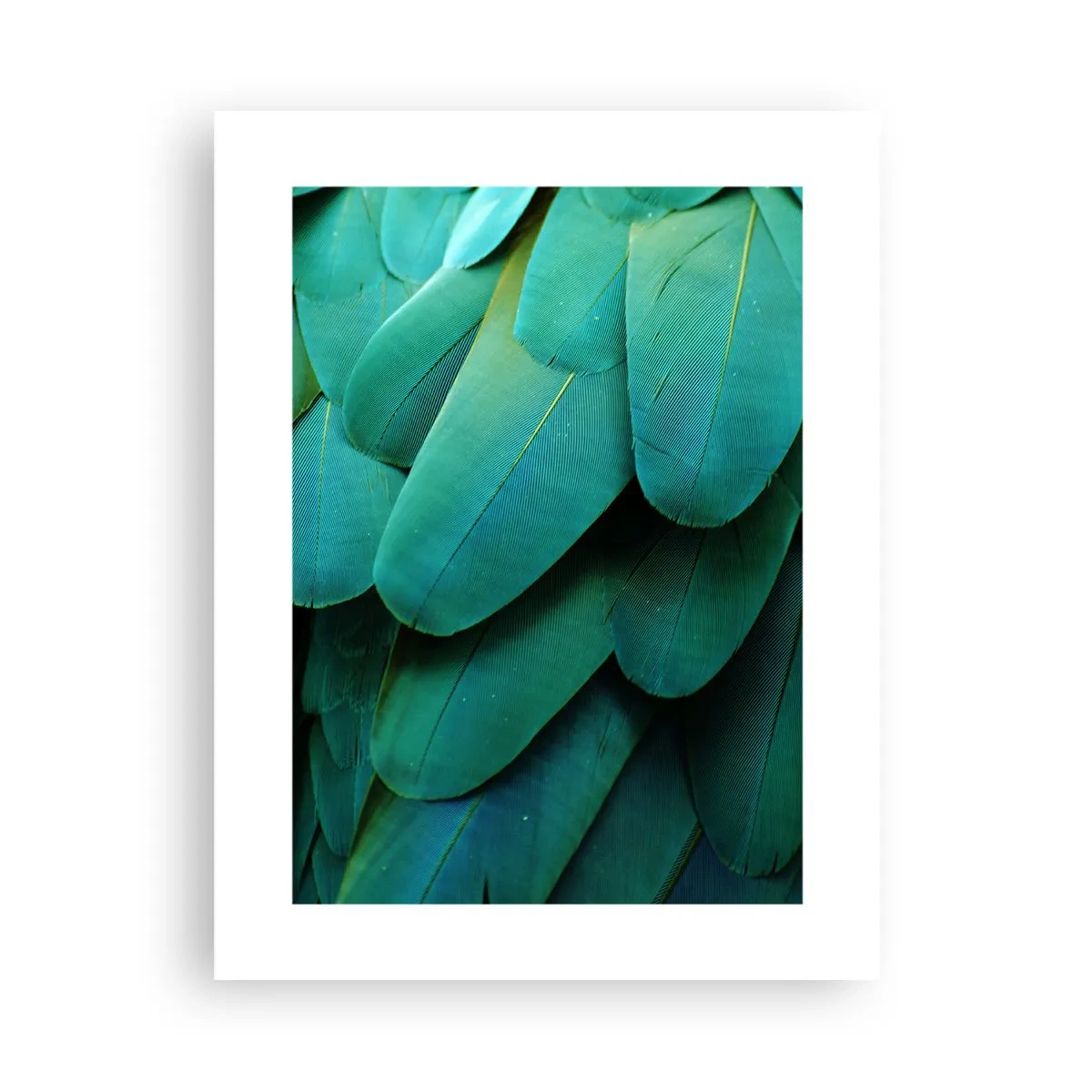 Poster - Papageienartige Präzision - 30x40 cm
