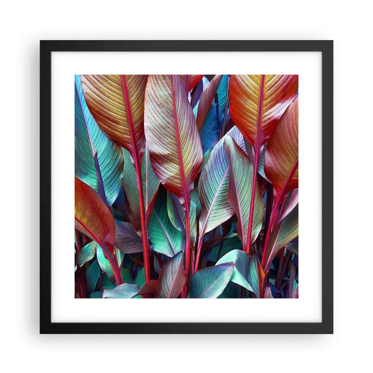 Poster in einem schwarzem Rahmen - Buntes Dickicht - 40x40 cm