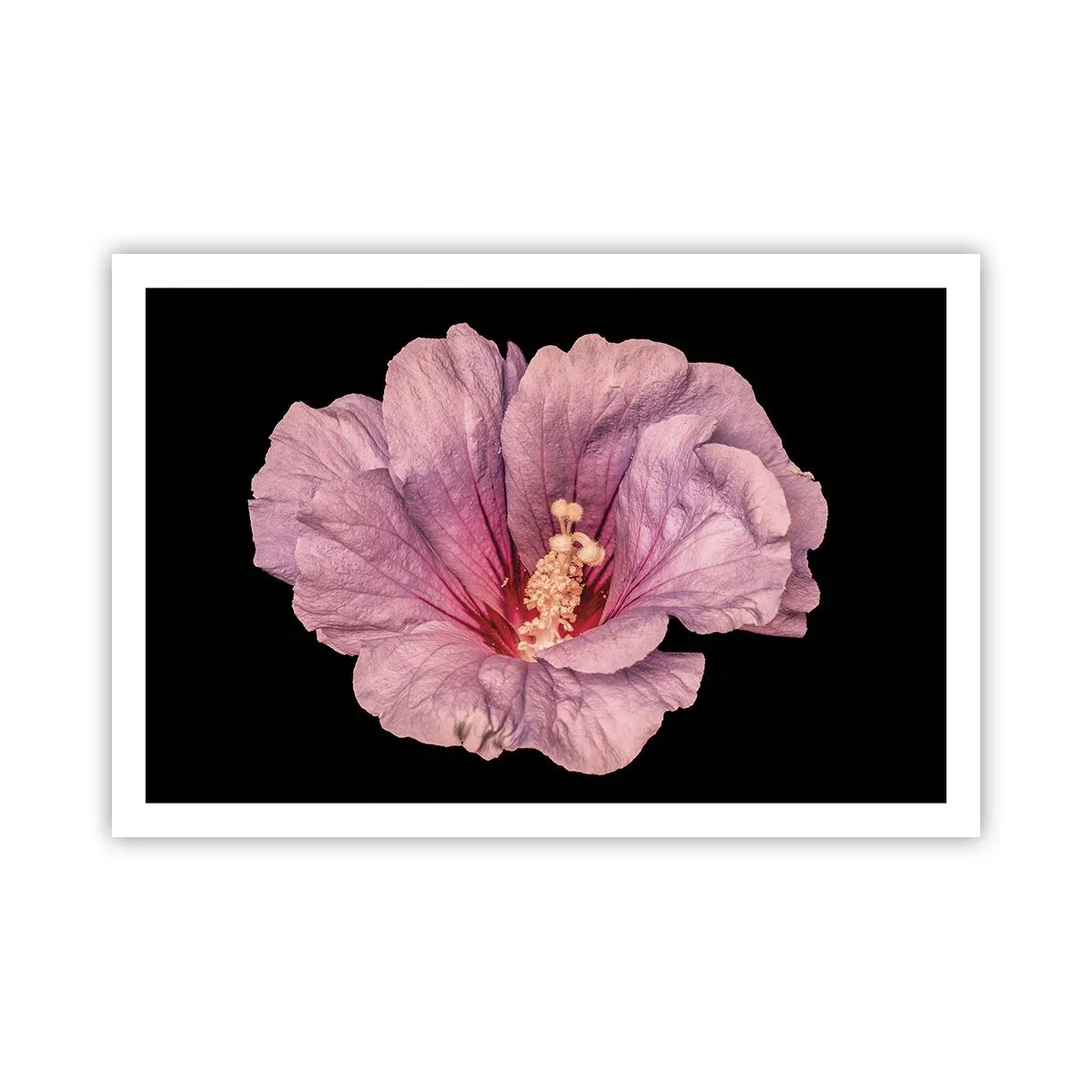 Poster - Direkt ins Herz - 91x61 cm