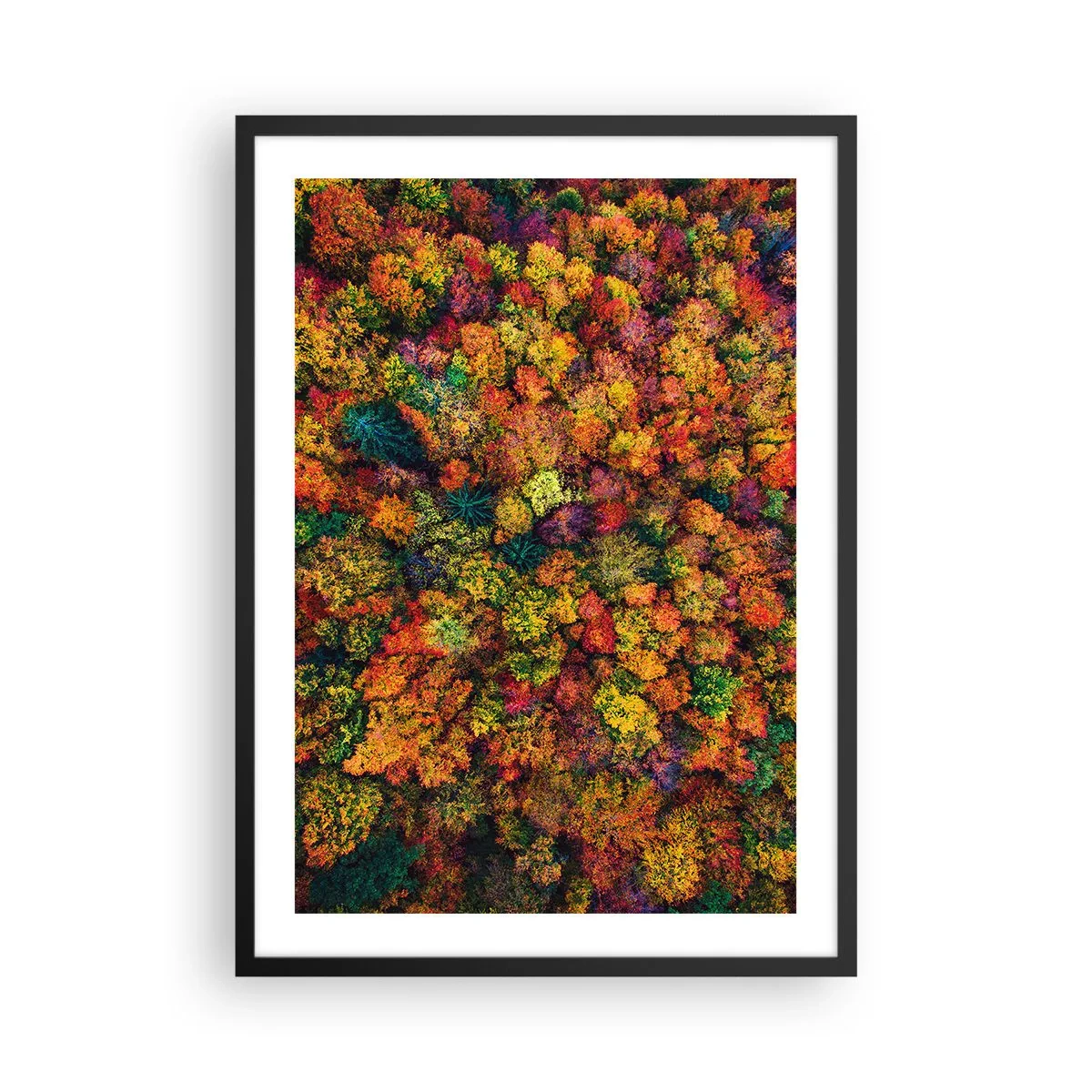 Poster in einem schwarzem Rahmen - Ein farbenfroher Wald aus der Vogelperspektive in seiner herbstlichen Farbpalette - 50x70cm - Blumenstrauß aus Herbstbäumen - Moderne Wanddekoration für Wohnzimmer und Schlafzimmer ARTTOR
