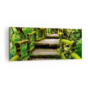 Bild auf Leinwand - Leinwandbild - Ein Korridor voller Grün - 100x40 cm