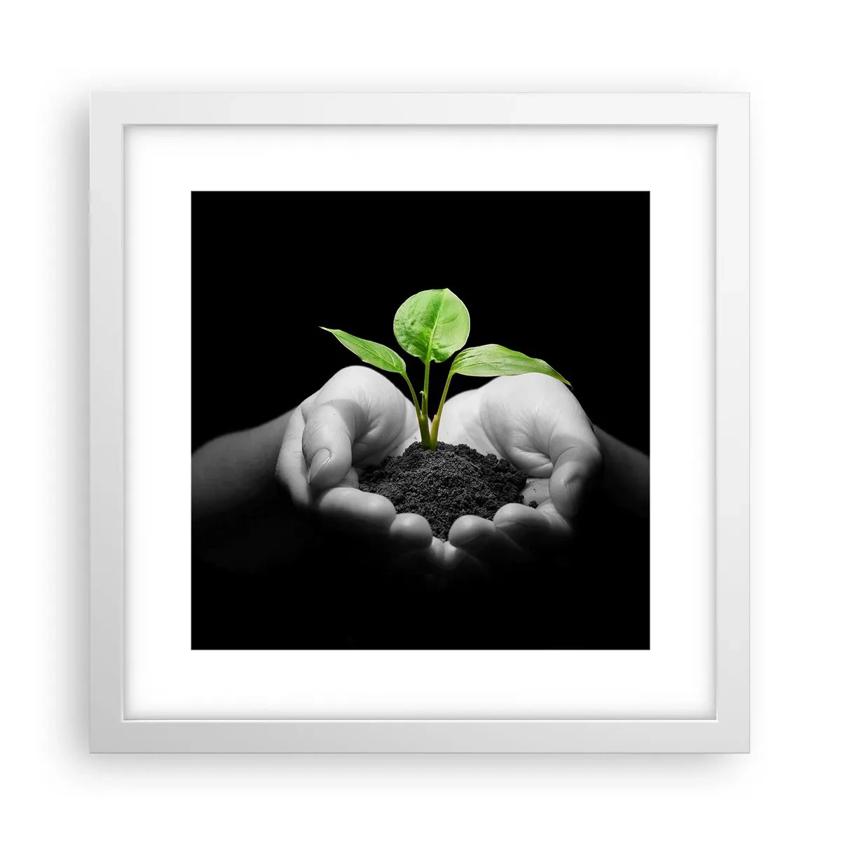 Poster in einem weißen Rahmen - Ich liebe die Natur, ich beschütze sie - 30x30 cm