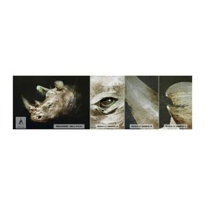 Fototapeten Muster Premium Canvas - Eine wahrhaft männliche Stärke - Abstraktion, Nashorn, Tiere - 100x30 cm
