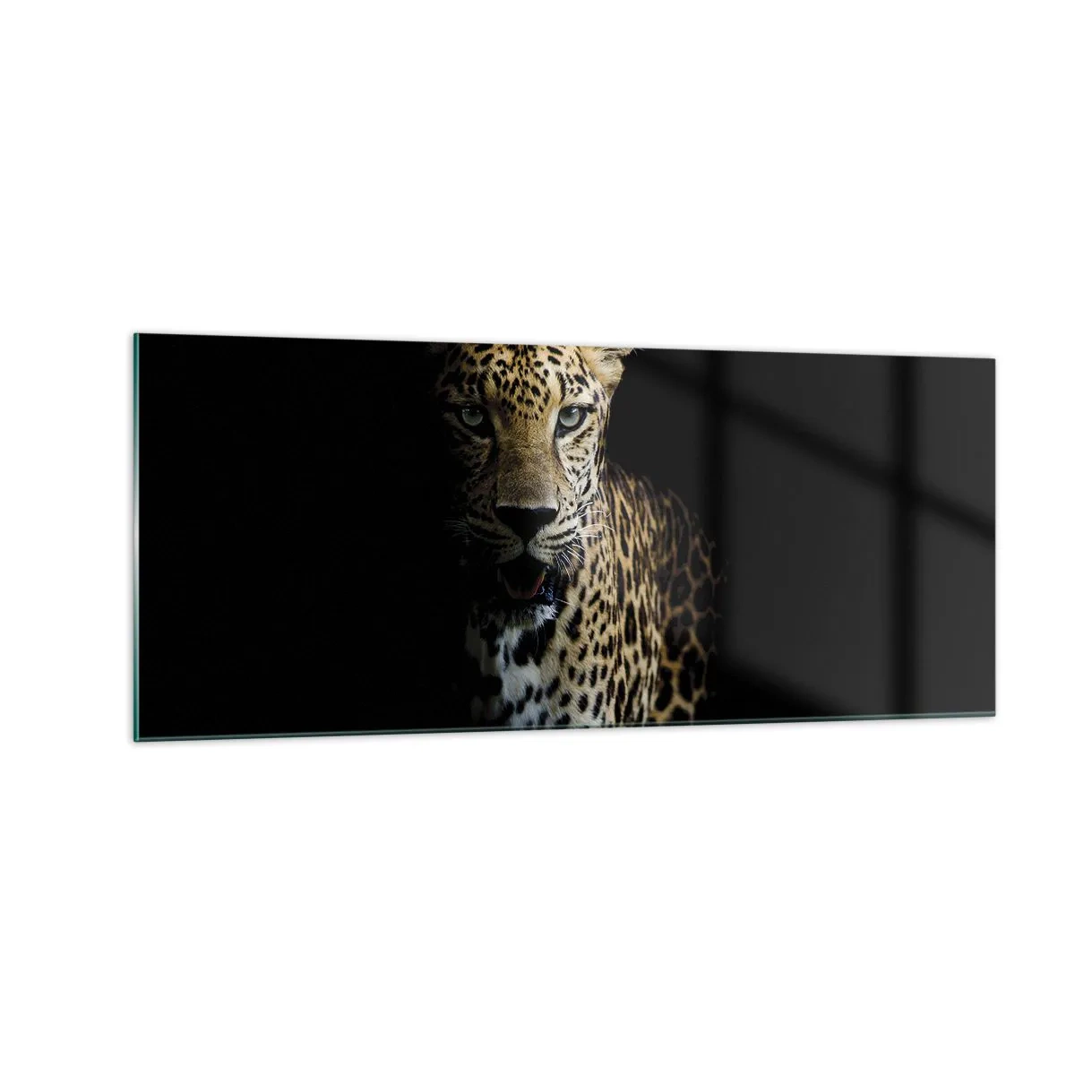 Glasbild - Bild auf glas - Dunkle Schönheit - 100x40 cm