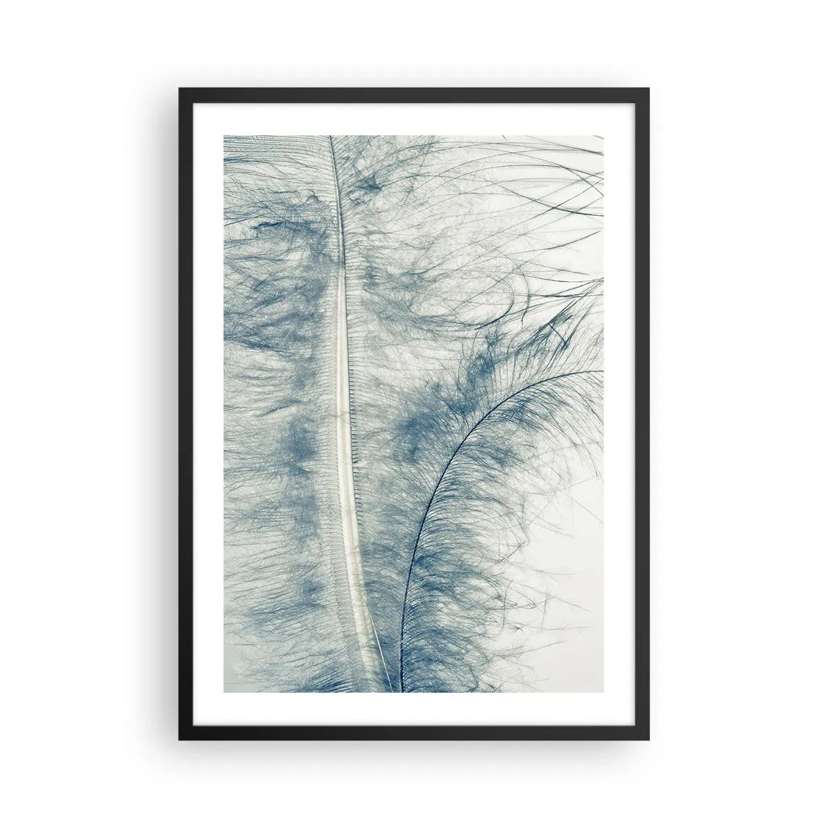Poster in einem schwarzem Rahmen - Eine zarte Feder in dezenten Blautönen - 50x70cm - Flüstern der Natur - Moderne Wanddekoration für Wohnzimmer und Schlafzimmer ARTTOR