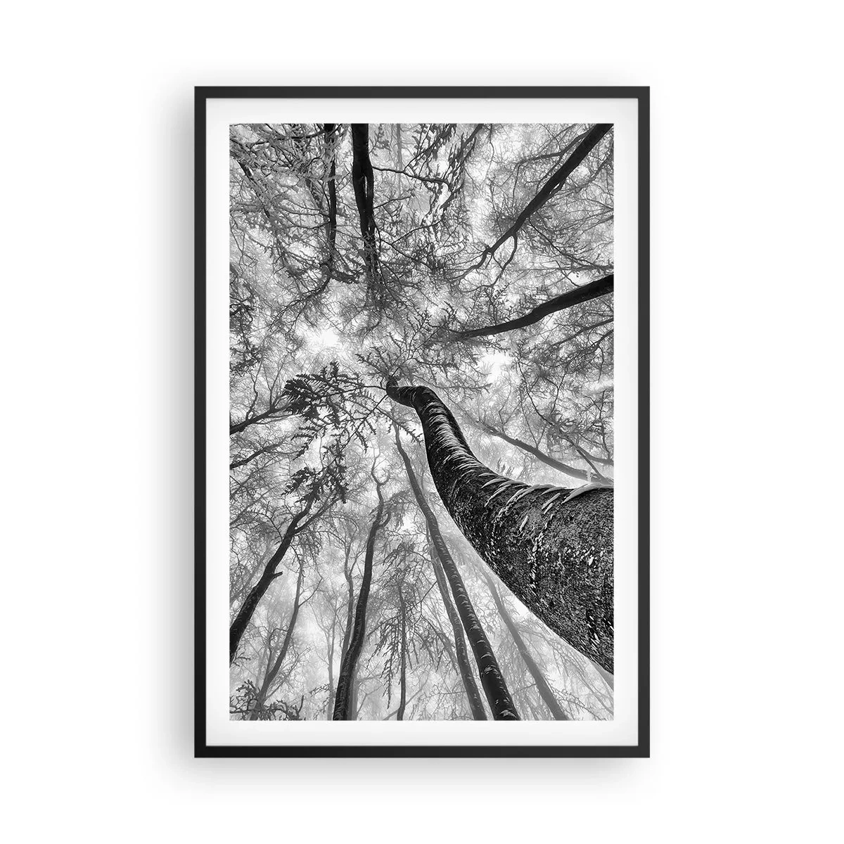 Poster in einem schwarzem Rahmen - Rennen zum Licht - 61x91 cm