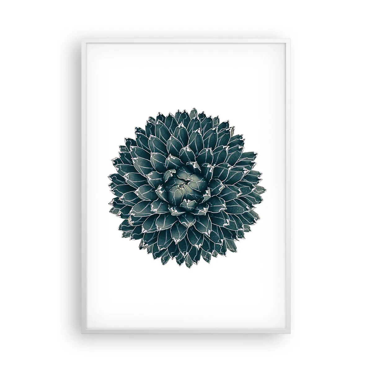 Poster in einem weißen Rahmen - Stern der Wüste - 70x100 cm